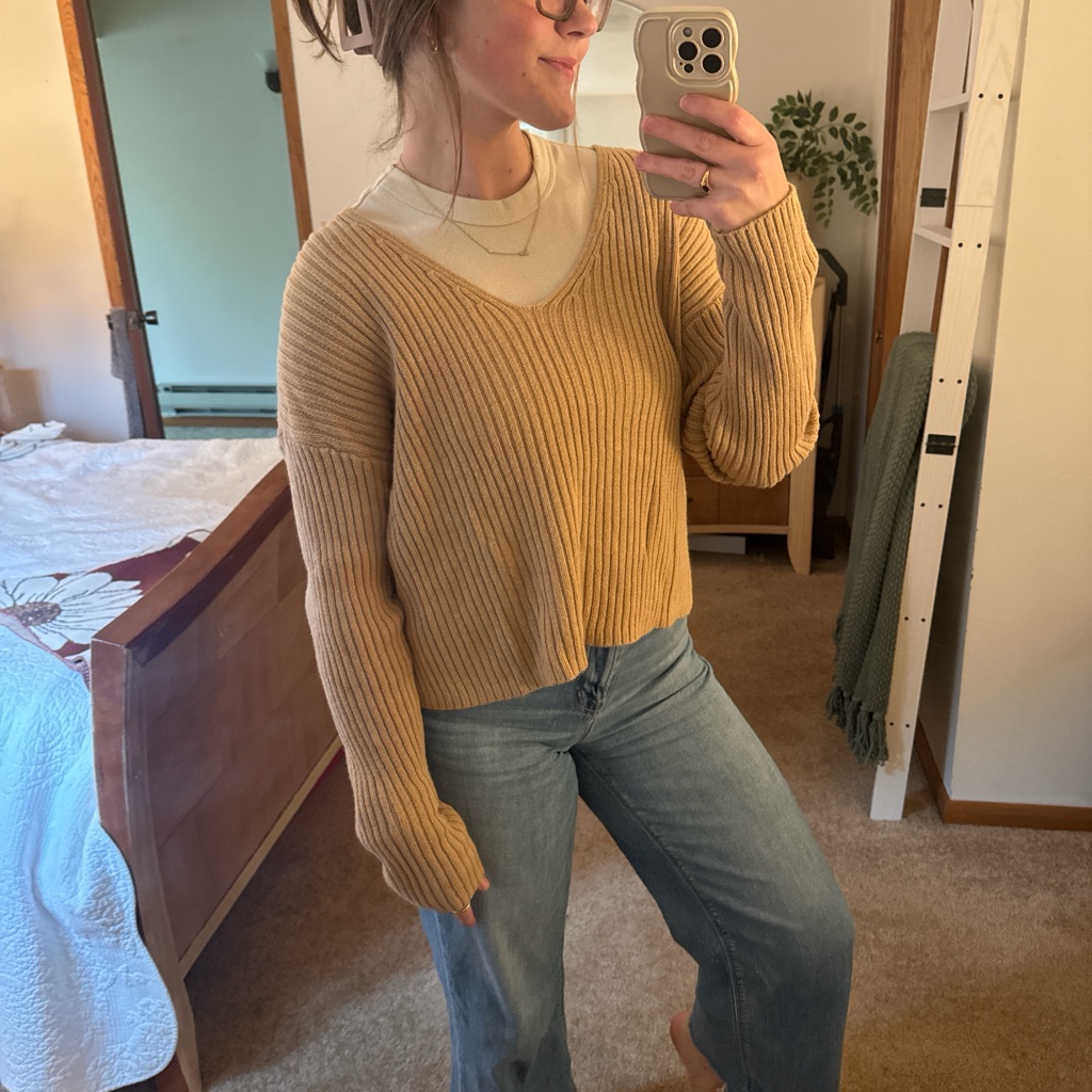 Wild Fable Tan V-Neck Sweater